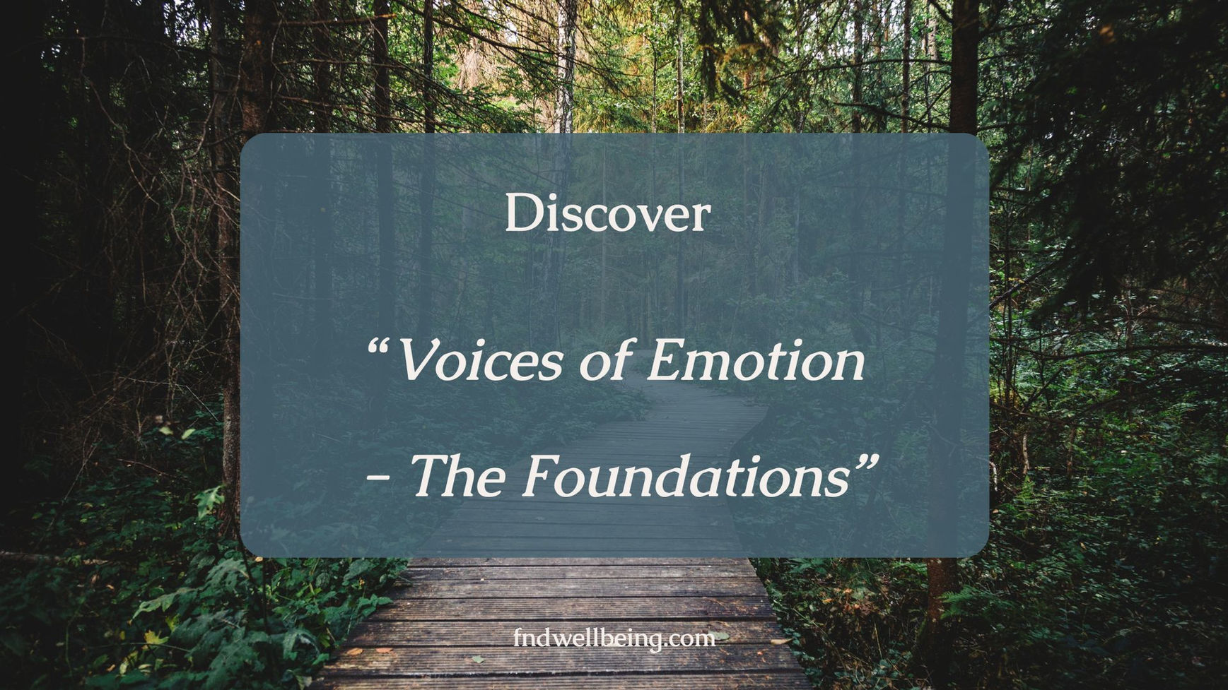 Voices Of Emotion - The Foundations